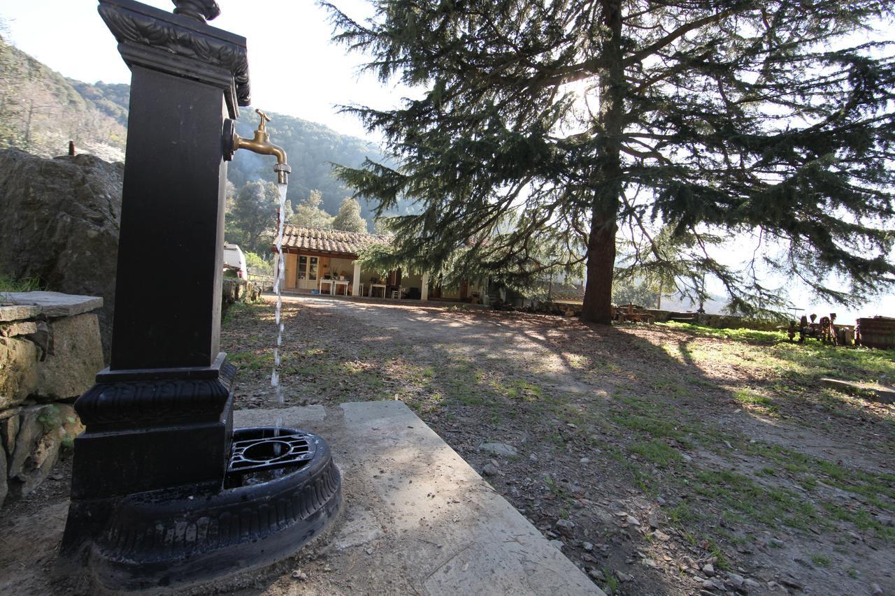 Fonte di Zeno Bed and Breakfast Marciana  Buitenkant foto